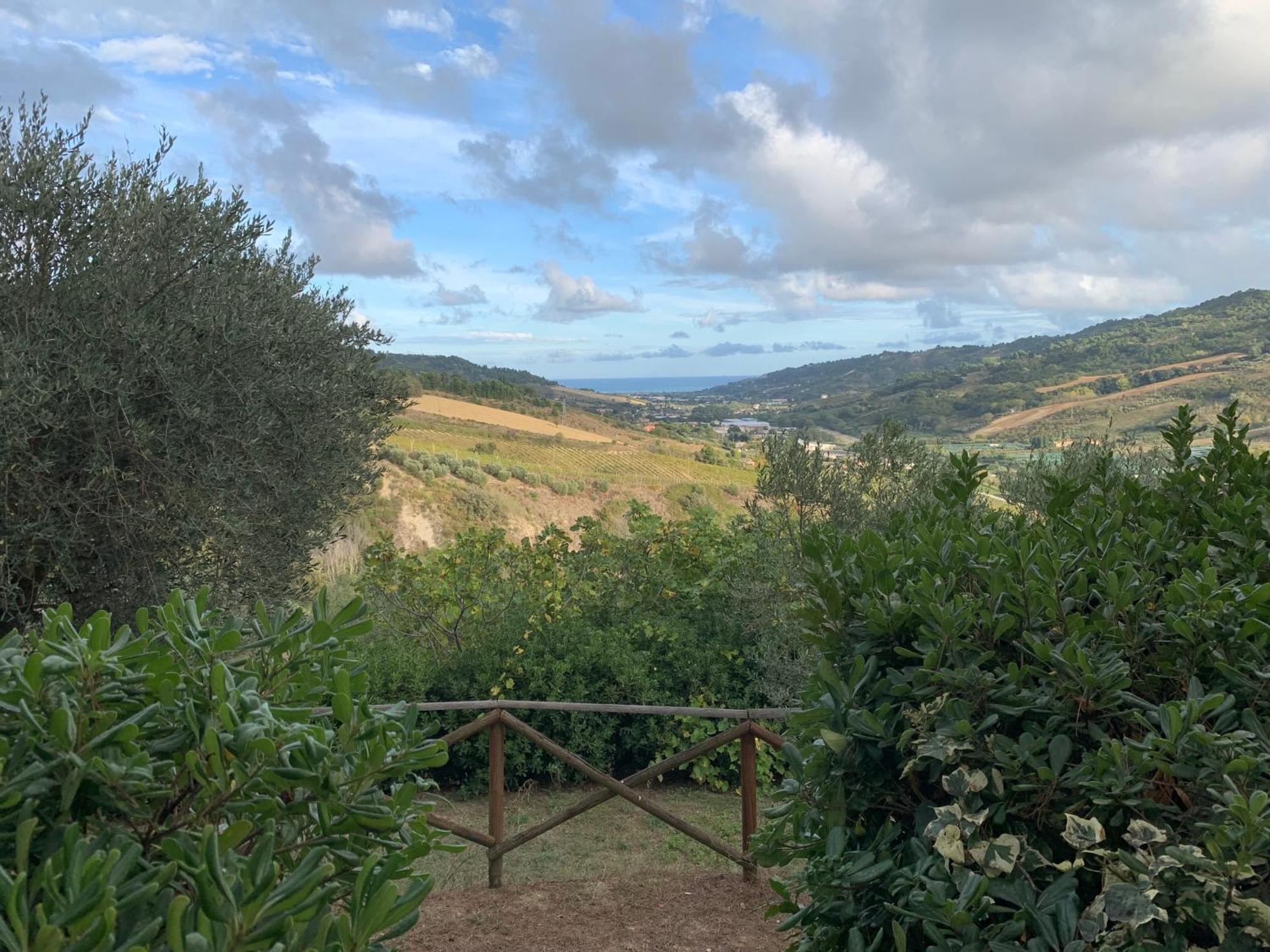 Casa Vacanze Cristina - Holiday House Διαμέρισμα Ripatransone Εξωτερικό φωτογραφία