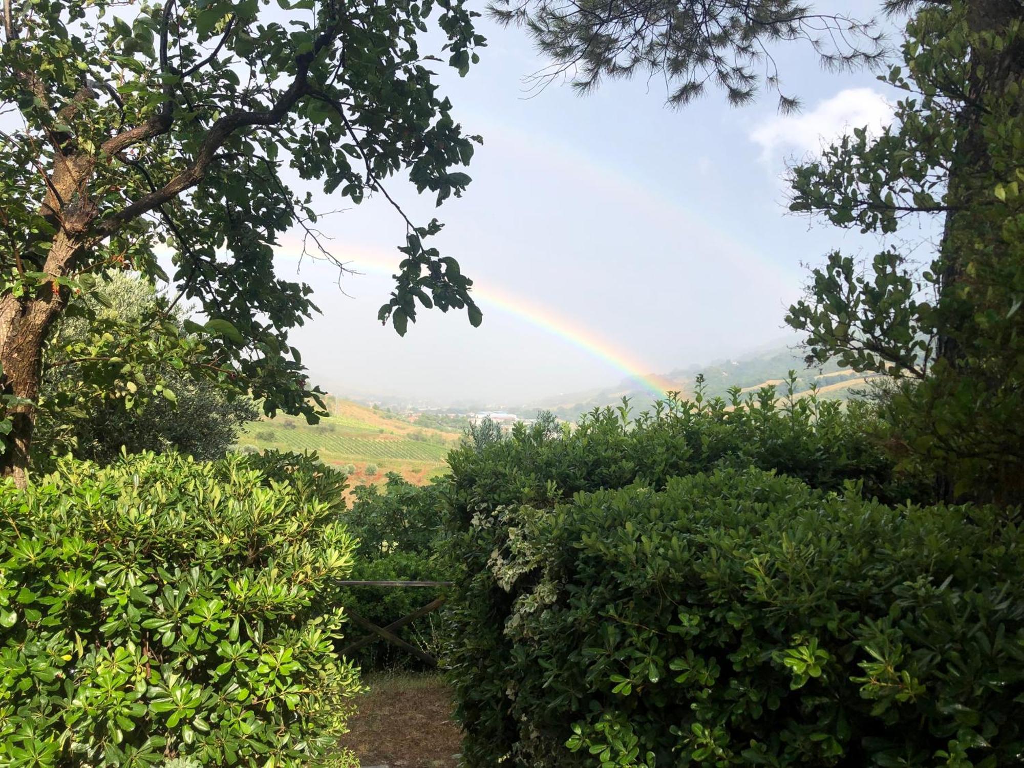 Casa Vacanze Cristina - Holiday House Διαμέρισμα Ripatransone Εξωτερικό φωτογραφία