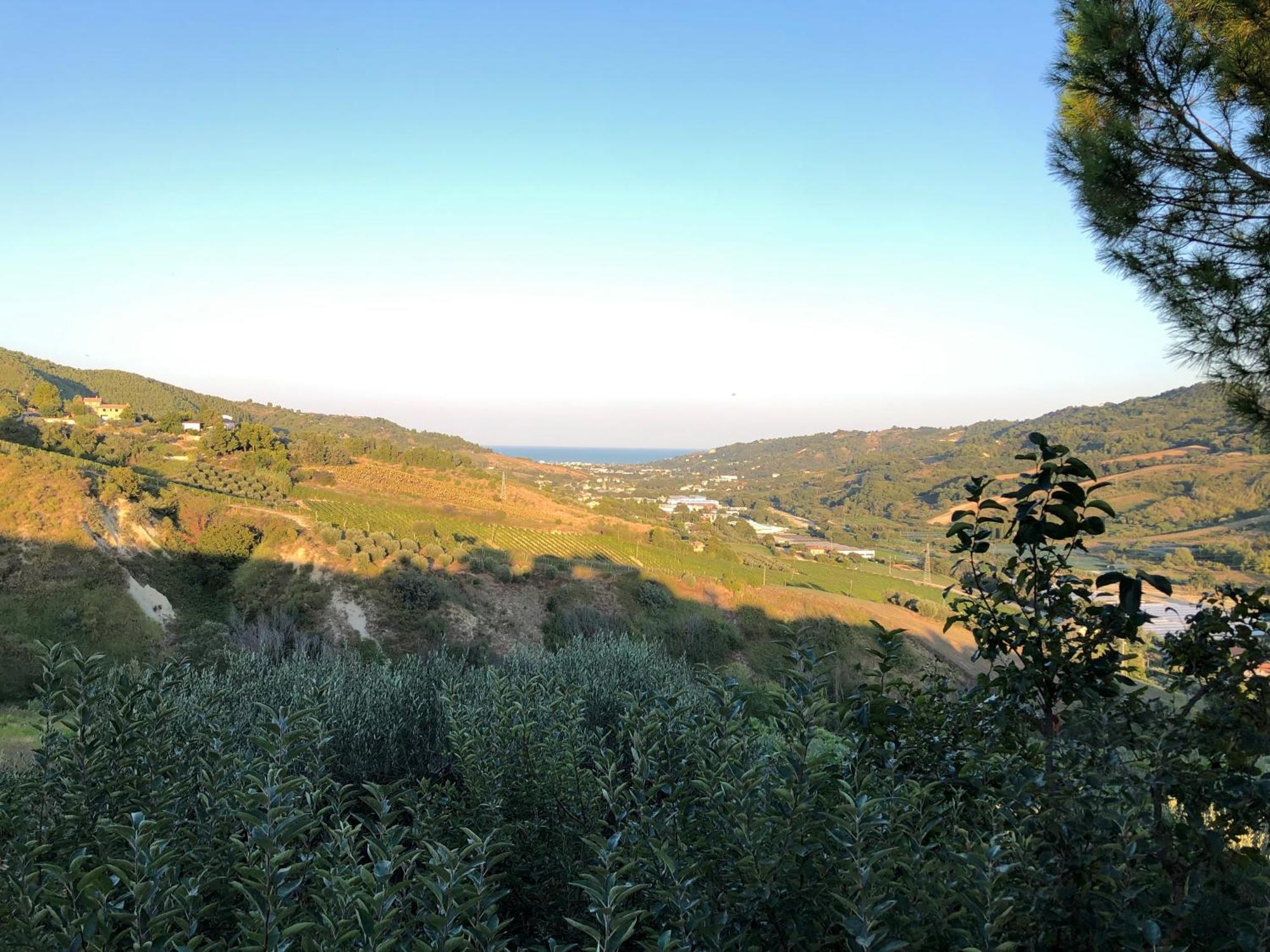 Casa Vacanze Cristina - Holiday House Διαμέρισμα Ripatransone Εξωτερικό φωτογραφία