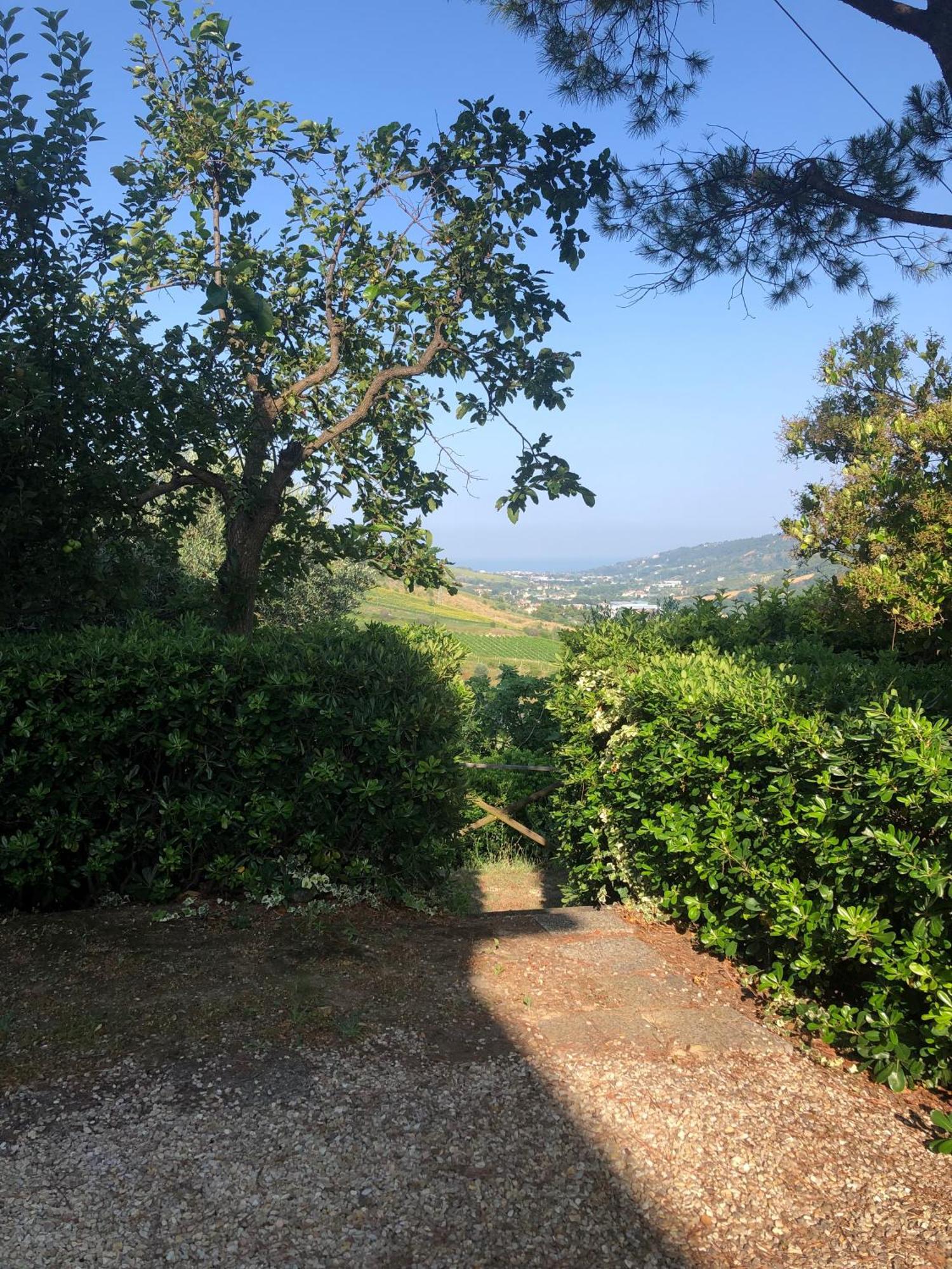 Casa Vacanze Cristina - Holiday House Διαμέρισμα Ripatransone Εξωτερικό φωτογραφία